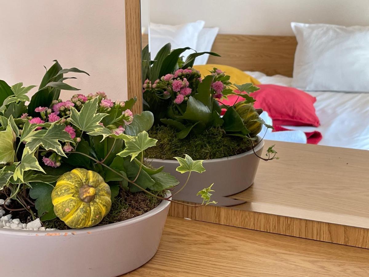 Adeona Wellness Hotel By Asteri Hotels Bansko Esterno foto